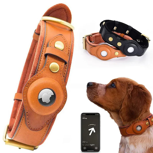 TrackSmart Dog Collar