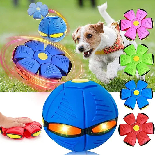 HoverPaw UFO Ball