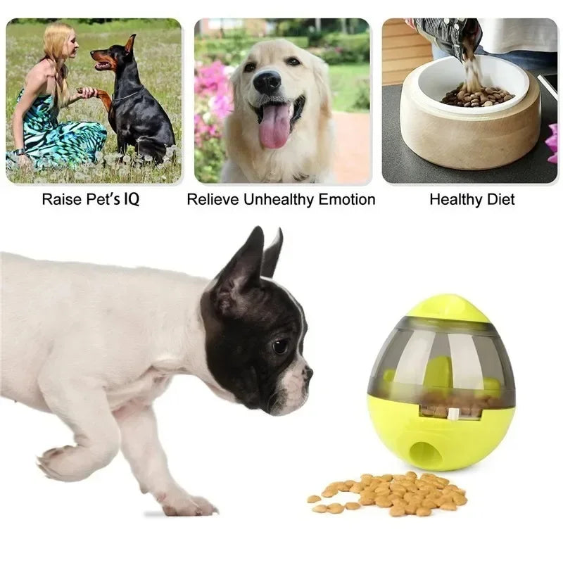 Interactive Treat Dispenser